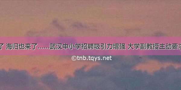 博士来了 海归也来了……武汉中小学招聘吸引力增强 大学副教授主动要求教小学