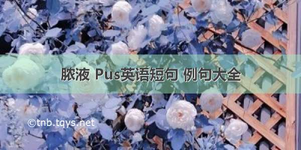 脓液 Pus英语短句 例句大全