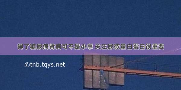 得了糖尿病肾病可不是小事 关注尿微量白蛋白很重要