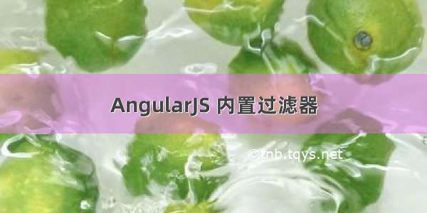 AngularJS 内置过滤器