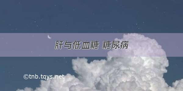 肝与低血糖 糖尿病