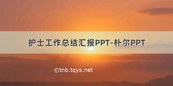 护士工作总结汇报PPT-朴尔PPT