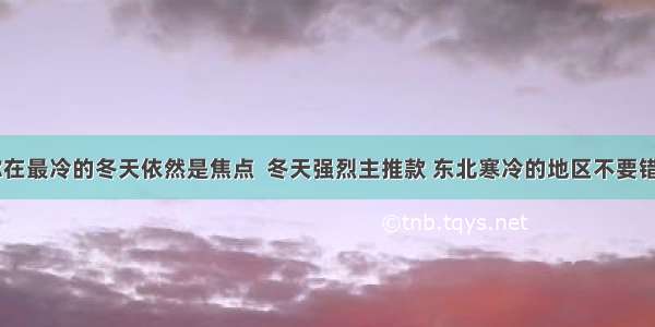 官宣 让你在最冷的冬天依然是焦点  冬天强烈主推款 东北寒冷的地区不要错过保暖好