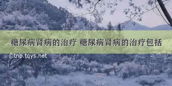 糖尿病肾病的治疗 糖尿病肾病的治疗包括