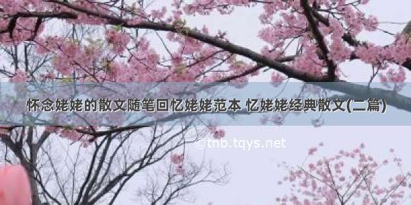 怀念姥姥的散文随笔回忆姥姥范本 忆姥姥经典散文(二篇)