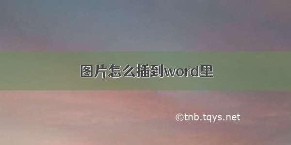 图片怎么插到word里