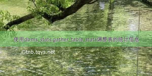 使用dbms_stats.gather_table_stats调整表的统计信息