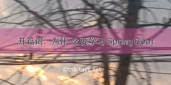 开篇词：为什什么要学习 Spring Boot