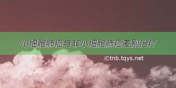 小细胞肺癌与非小细胞肺癌差别治疗