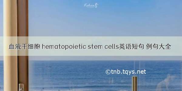 血液干细胞 hematopoietic stem cells英语短句 例句大全