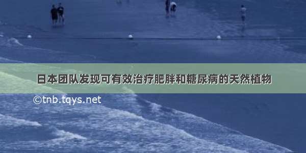 日本团队发现可有效治疗肥胖和糖尿病的天然植物