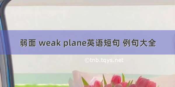 弱面 weak plane英语短句 例句大全