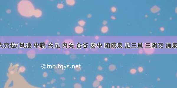 十大穴位(风池 中脘 关元 内关 合谷 委中 阳陵泉 足三里 三阴交 涌泉穴)