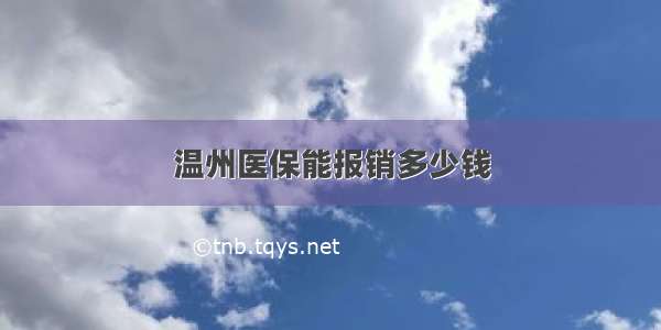 温州医保能报销多少钱