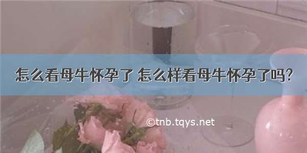 怎么看母牛怀孕了 怎么样看母牛怀孕了吗?