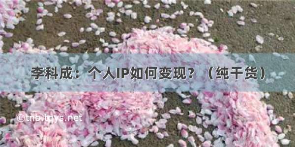 李科成：个人IP如何变现？（纯干货）