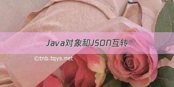 Java对象和JSON互转