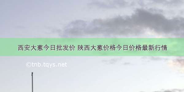 西安大葱今日批发价 陕西大葱价格今日价格最新行情