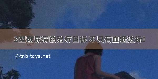 2型糖尿病的治疗目标 不只有血糖达标!