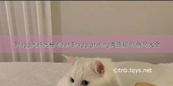 Bragg光纤光栅 fiber Bragg grating英语短句 例句大全