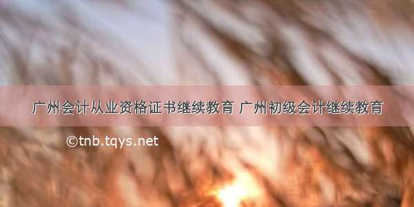 广州会计从业资格证书继续教育 广州初级会计继续教育