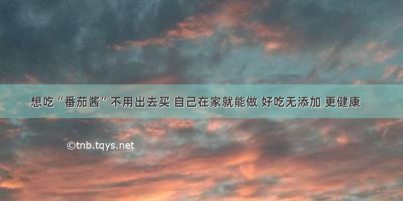 想吃“番茄酱”不用出去买 自己在家就能做 好吃无添加 更健康