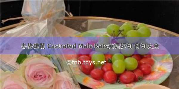 去势雄鼠 Castrated Male Rats英语短句 例句大全