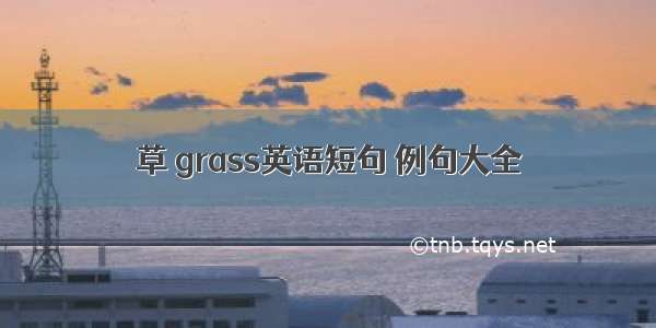 草 grass英语短句 例句大全