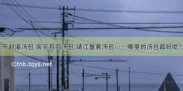 开封灌汤包 南京鸡鸣汤包 靖江蟹黄汤包……哪里的汤包最好吃？