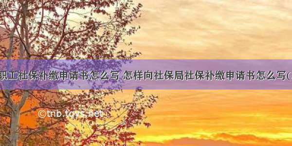 企业职工社保补缴申请书怎么写 怎样向社保局社保补缴申请书怎么写(三篇)