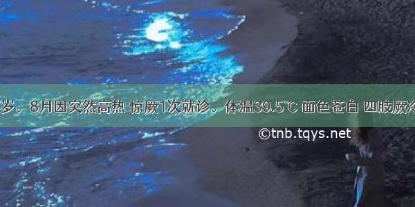 患儿男 7岁。8月因突然高热 惊厥1次就诊。体温39.5℃ 面色苍白 四肢厥冷 意识模