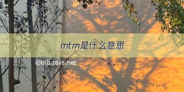 mtm是什么意思