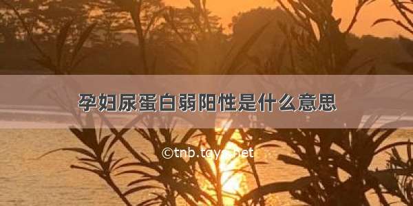 孕妇尿蛋白弱阳性是什么意思