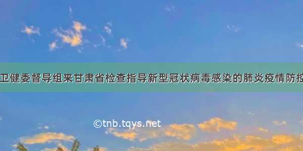 国家卫健委督导组来甘肃省检查指导新型冠状病毒感染的肺炎疫情防控工作