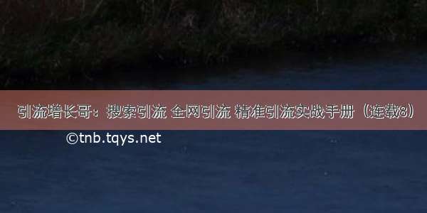 引流增长哥：搜索引流 全网引流 精准引流实战手册（连载8）