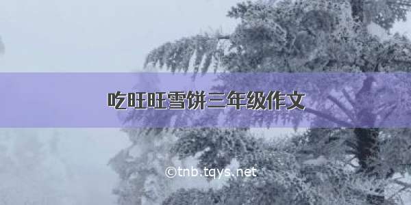 吃旺旺雪饼三年级作文