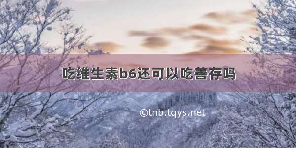 吃维生素b6还可以吃善存吗