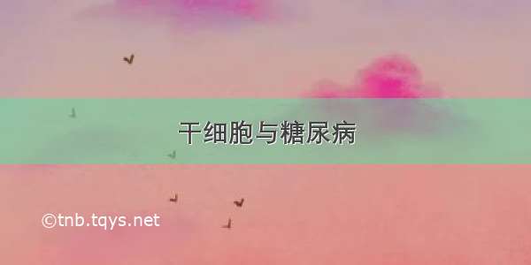 干细胞与糖尿病