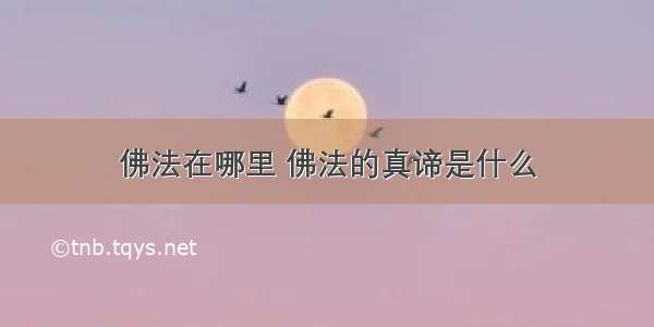 佛法在哪里 佛法的真谛是什么