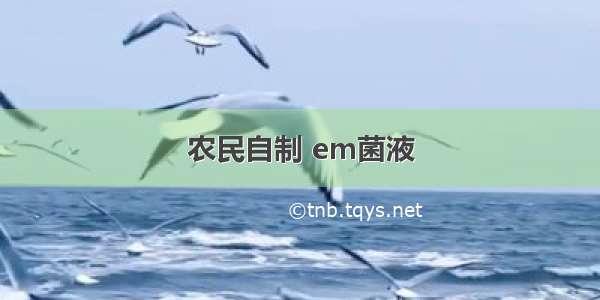 农民自制 em菌液