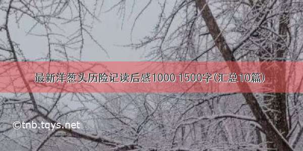 最新洋葱头历险记读后感1000 1500字(汇总10篇)