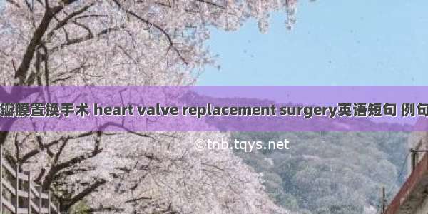 心脏瓣膜置换手术 heart valve replacement surgery英语短句 例句大全