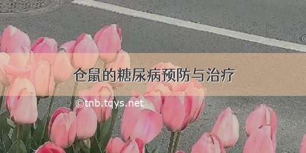 仓鼠的糖尿病预防与治疗