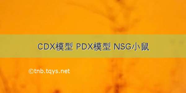 CDX模型 PDX模型 NSG小鼠