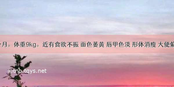 患儿 9个月。体重9kg。近有食欲不振 面色萎黄 唇甲色淡 形体消瘦 大便偏稀 舌淡