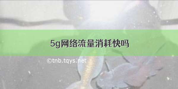 5g网络流量消耗快吗