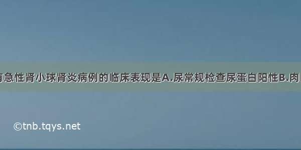 可出现于所有急性肾小球肾炎病例的临床表现是A.尿常规检查尿蛋白阳性B.肉眼或镜下血尿