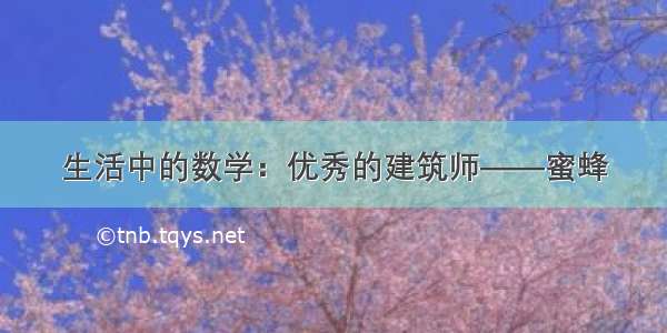 生活中的数学：优秀的建筑师——蜜蜂