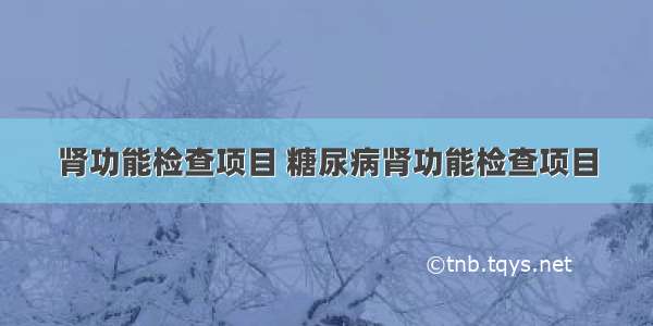 肾功能检查项目 糖尿病肾功能检查项目