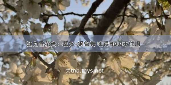 魅力香花湾：篝火+钢管舞 嗨得Hold不住啊～